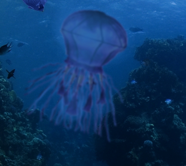 Creation of Underwater life: Step 4